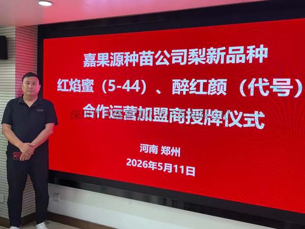 公司荣誉 